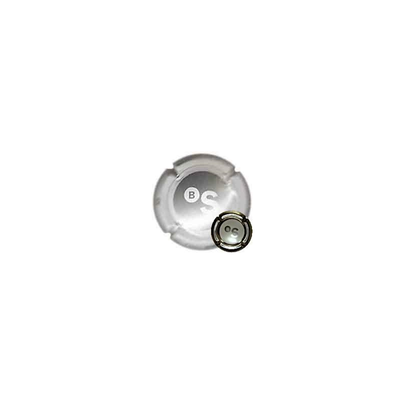 Commemoratives X-13185 1881-Sumarroca--2006. 1881-2006.