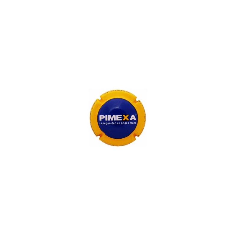 Empreses X-15812--Placa color amarillo.
