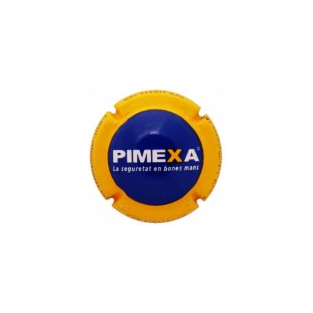 Empreses X-15812--Placa color amarillo.
