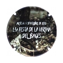 Fires i festes X-163408...