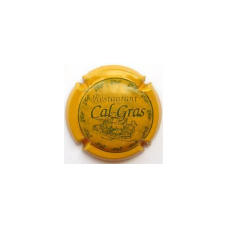 Pirulas Restauració X-43767 Placa color groccarabassa