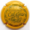 Pirulas Restauració X-43767 Placa color groccarabassa