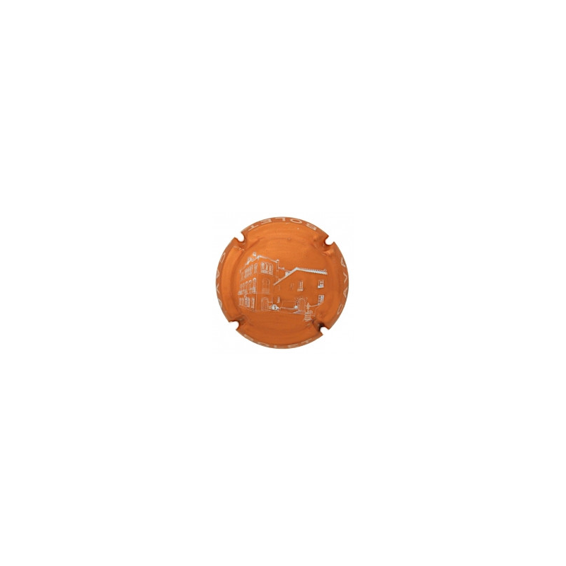 Bolet X-169289