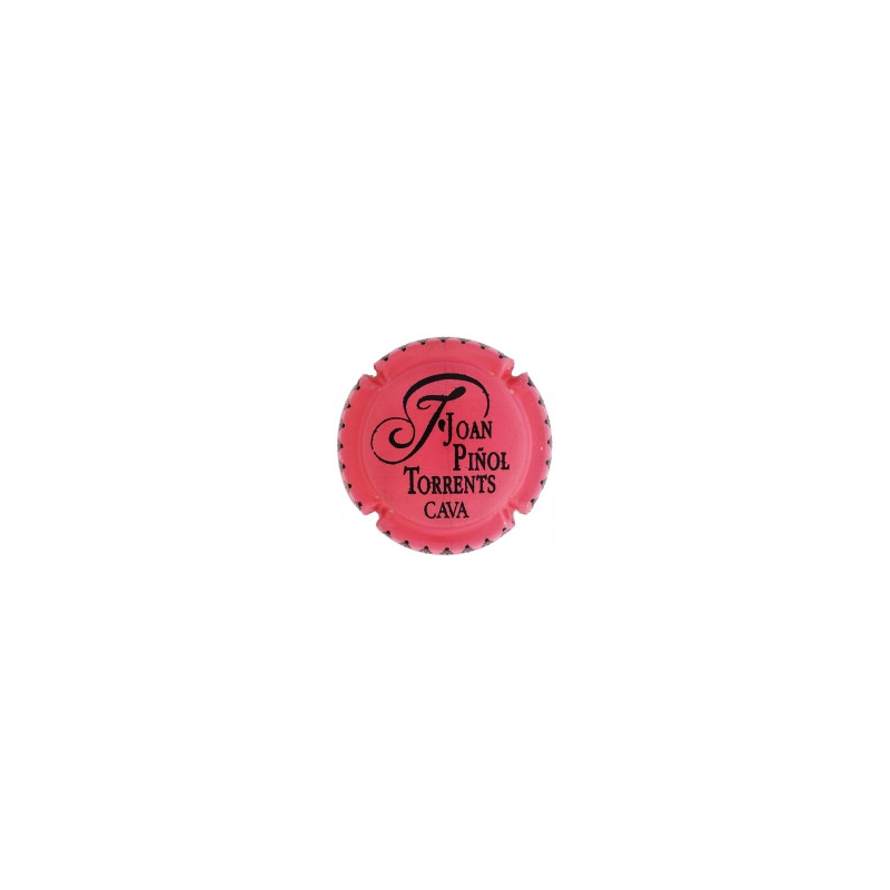 Joan Piñol Torrents X-194209