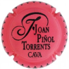 Joan Piñol Torrents X-194209