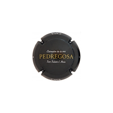 Castelo de Pedregosa X-166831