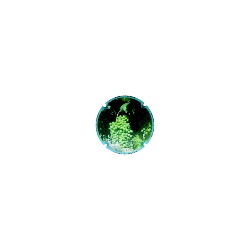 Solés & Salvà X-170916