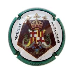 Can Paixano X-20464 V-11694
