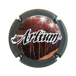 Artium X-208232