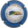 Cavas Hill X-19462 V-6793
