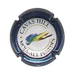 Cavas Hill X-344 V-2488