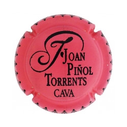 Joan Piñol Torrents X-194209