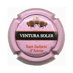 Ventura Soler 78972