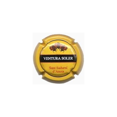 Ventura Soler X-78969 V-22475