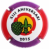 Commemoratives X-129707 ACP Bagà ACP 2015