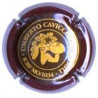 (0014) ITALIA CAVICCHIOLI